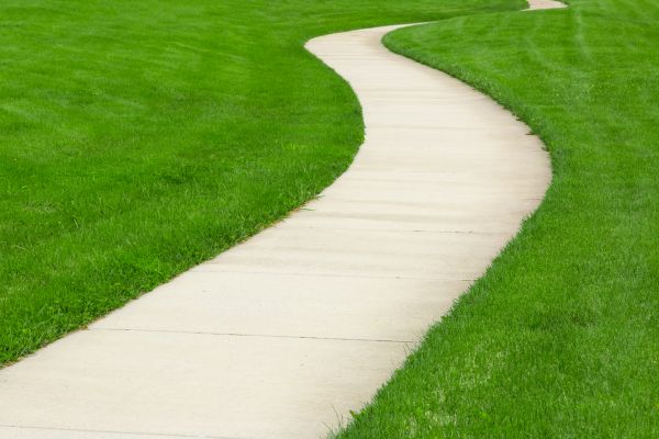 Cost of Walkway Building in Auburn